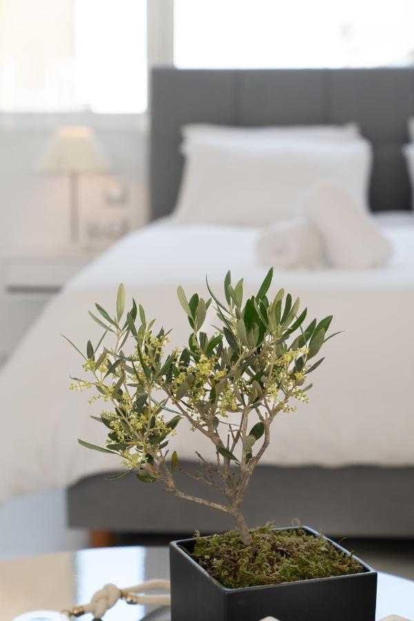 Olvar Suites Atina Dış mekan fotoğraf